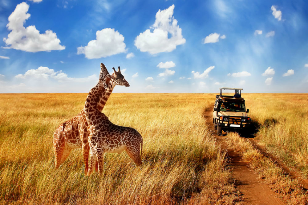 Day 8: Plettenberg Bay - Kwantu Game Reserve